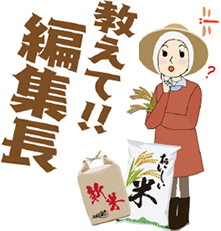 《おしえて！編集長》 県産米の最新事情って？