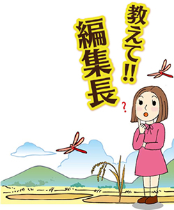 《おしえて！編集長》今年のお米事情