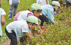 でん六 蔵王の森工場で収穫祭